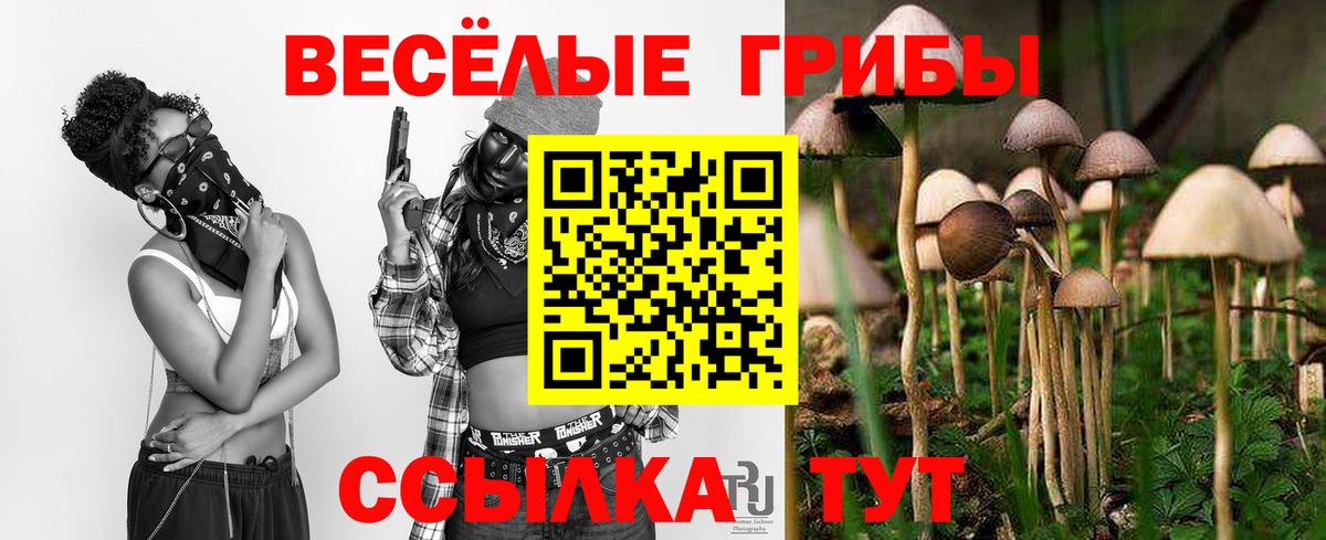 Галлюциногенные грибы мицелий  Вход с VPN  Серпухов 