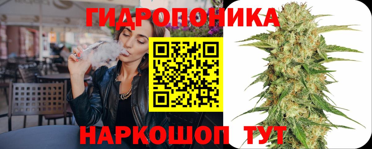Бошки Шишки планчик Серпухов